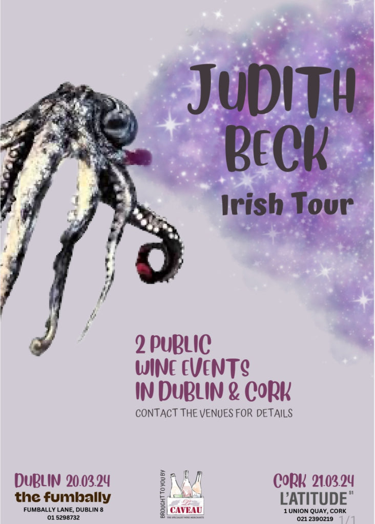 Judith Beck visits Ireland